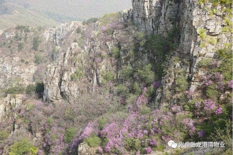 ������-�������¡�����ȫ�Ĳ�Ʊ��Ϣ��Ѷ