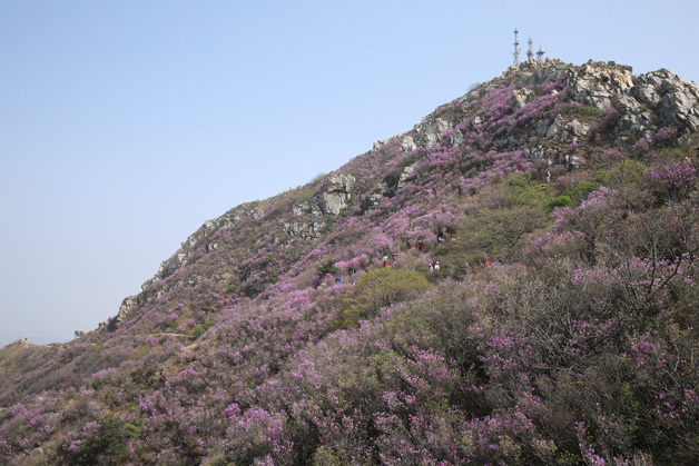 ������-�������¡�����ȫ�Ĳ�Ʊ��Ϣ��Ѷ