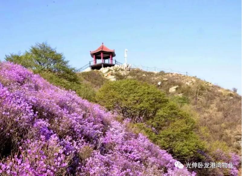 ������-�������¡�����ȫ�Ĳ�Ʊ��Ϣ��Ѷ