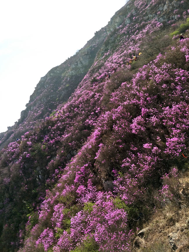 ������-�������¡�����ȫ�Ĳ�Ʊ��Ϣ��Ѷ