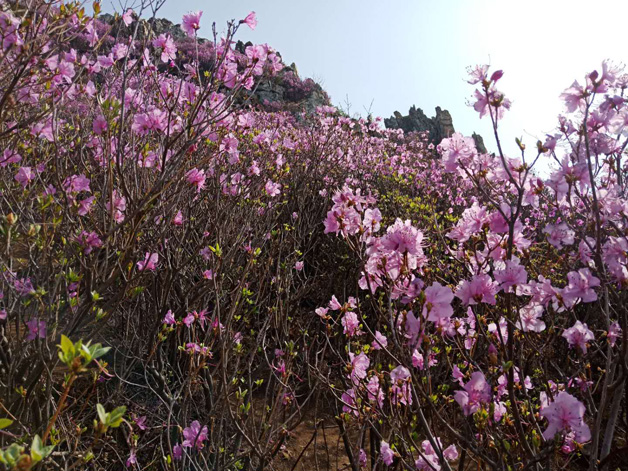 ������-�������¡�����ȫ�Ĳ�Ʊ��Ϣ��Ѷ