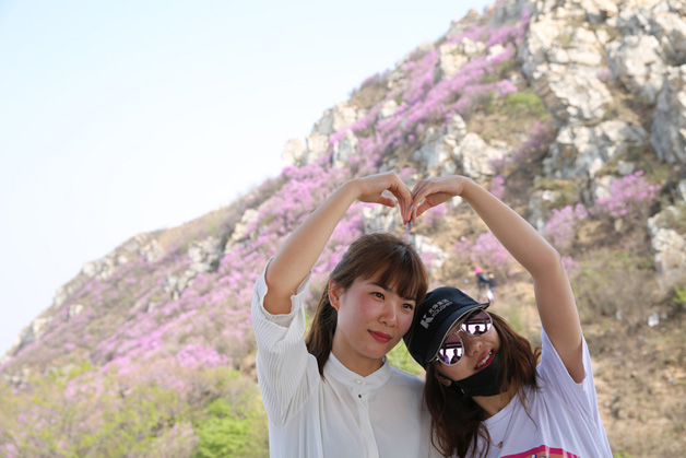 ������-�������¡�����ȫ�Ĳ�Ʊ��Ϣ��Ѷ