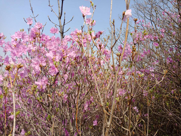 ������-�������¡�����ȫ�Ĳ�Ʊ��Ϣ��Ѷ